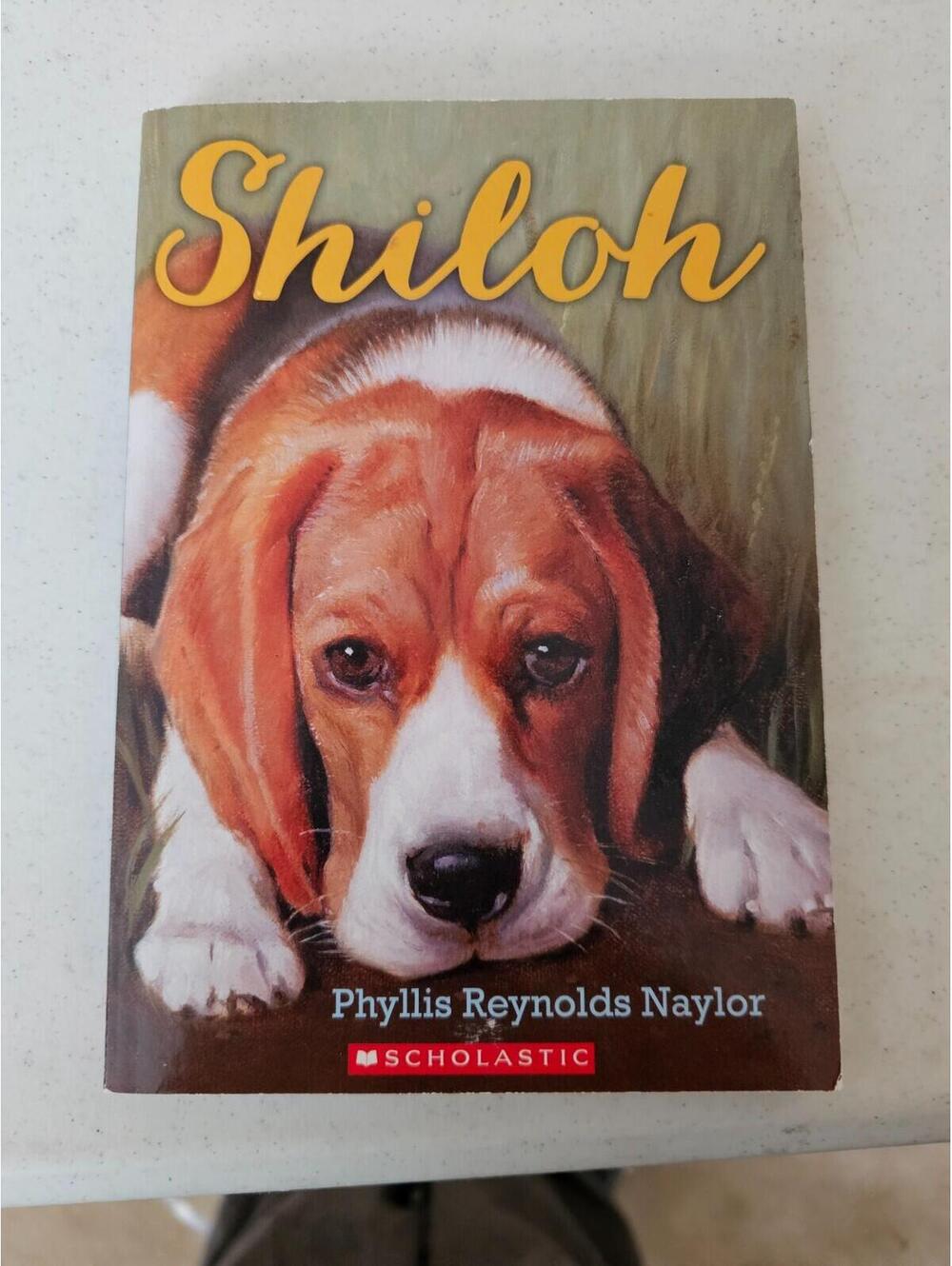 SHILOH by Phyllis Reynolds Naylor 2014 Scholastic paperback